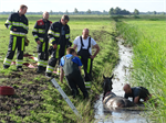 Prio 2 Dier te Water Paard Dykhuzen Gerkesklooster